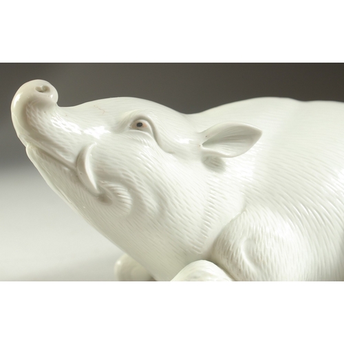 98 - TWO JAPANESE HIRADO PORCELAIN WILD BOAR, with finely carved fur detail, each 25cm long.