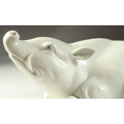 98 - TWO JAPANESE HIRADO PORCELAIN WILD BOAR, with finely carved fur detail, each 25cm long.