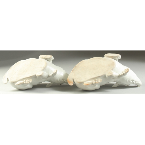 98 - TWO JAPANESE HIRADO PORCELAIN WILD BOAR, with finely carved fur detail, each 25cm long.