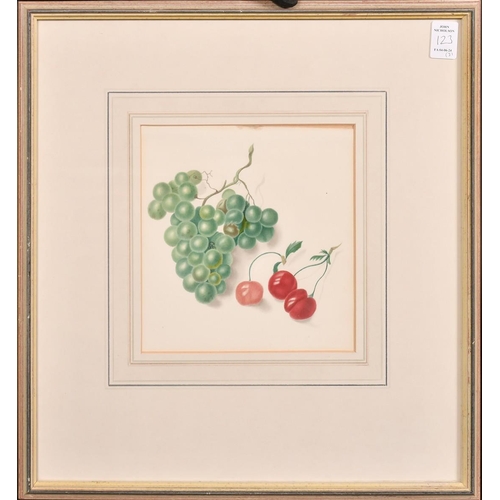 123 - 19th Century English School, a group of three watercolour studies of fruit, each 8.25