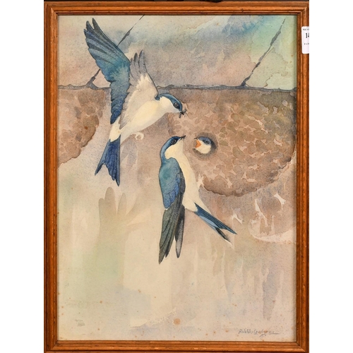 159 - Ralston Gudgeon (1910-1984), Housemartins feeding their chick, watercolour, signed, 14.75