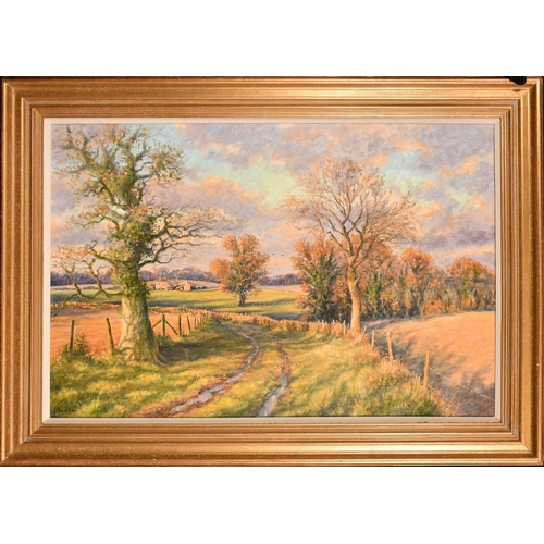 226 - Mervyn Goode, 'Evening Skies and Long Shadows, November', oil on canvas, signed, inscribed verso, 24... 