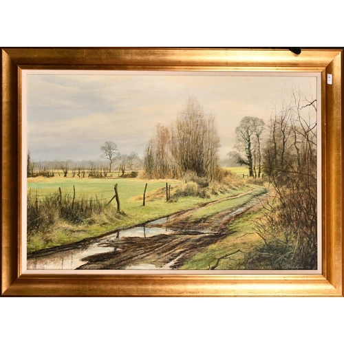 227 - Mervyn Goode, a country track with an extensive landscape beyond, oil on canvas, signed, inscribed v... 