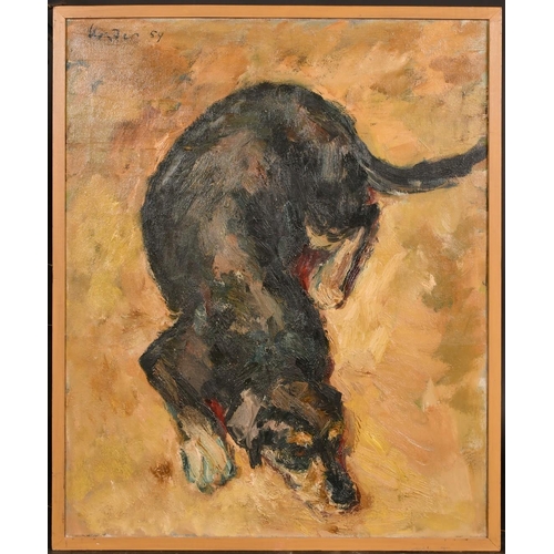 280 - Koster, Circa 1959, an impressionst study of a resting dog, oil on canvas, signed and dated, 31.5