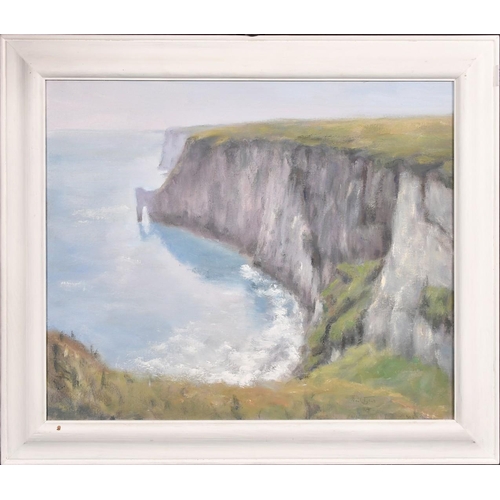 319 - Neil Tyer (b. 1945), 'Flamborough Head', a coastal view, oil on canvas, signed, 20