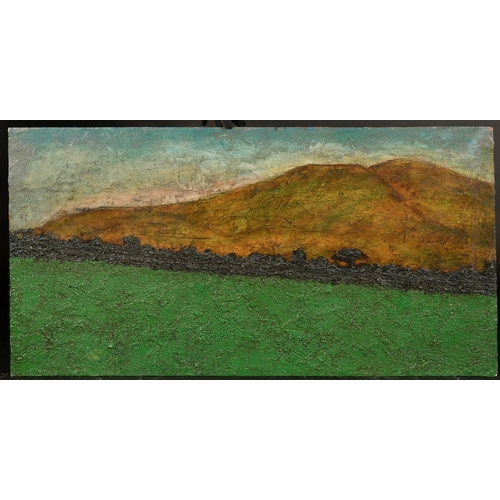 359 - John Emanuel (b. 1930), 'Cumbrian Fells', and extensive landscape, oil on board, signed and inscribe... 