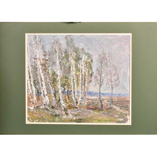 372 - Vera Dovgalevskaya (b. 1916) Ukrainian, a view of birch trees in spring, oil on board, signed and in... 