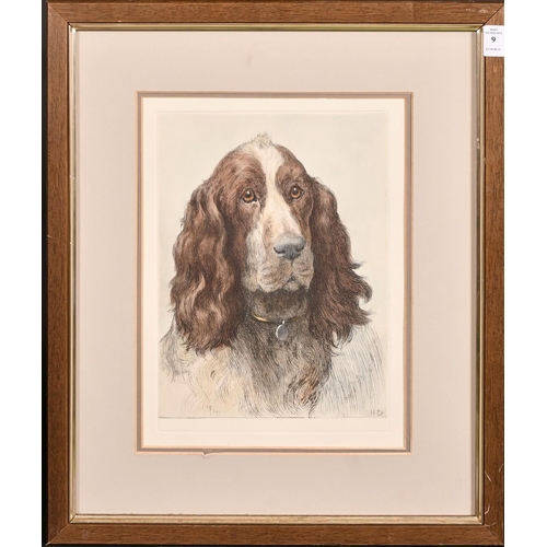 9 - Herbert Dicksee, study of a springer spaniel, colour etching, later impression, plate size 13