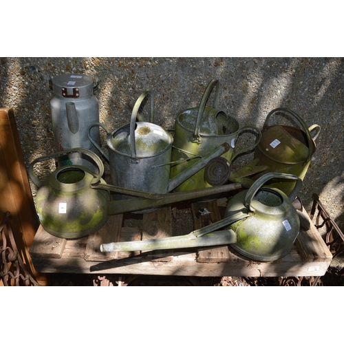 46 - A quantity of galvanised watering cans.