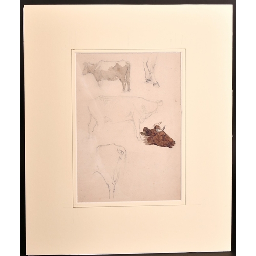 52 - Peter de Wint (1784-1849) - Pencil and watercolour - Cattle studies, 13.5ins x 9.5ins, Attributed to... 