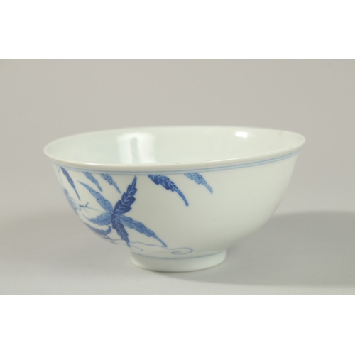 12 - A FINE CHINESE BLUE AND WHITE PORCELAIN BOWL, the exterior painted with foliate decoration and insec... 