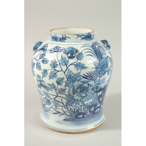 27 - A LARGE CHINESE BLUE AND WHITE PORCELAIN JAR, painted with exotic birds amongst flora, 25cm high.