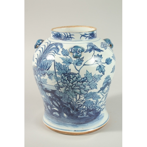 27 - A LARGE CHINESE BLUE AND WHITE PORCELAIN JAR, painted with exotic birds amongst flora, 25cm high.