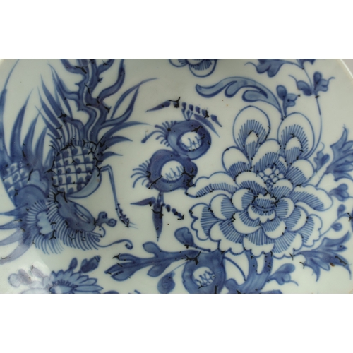 41 - A 19TH CENTURY DAOGUANG CHINESE BLUE AND WHITE PORCELAIN DISH, painted with exotic bird and flora, t... 