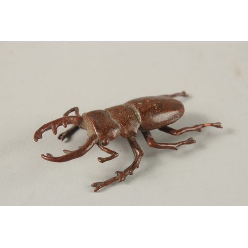 16 - A BRONZE OKIMONO OF A STAG BEETLE.