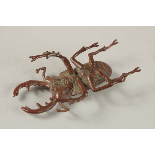 16 - A BRONZE OKIMONO OF A STAG BEETLE.