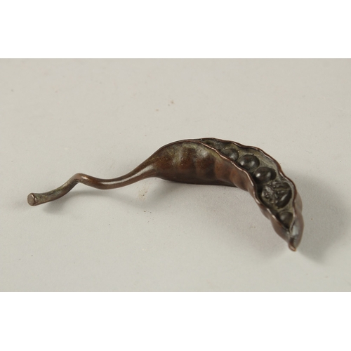 19 - A BRONZE OKIMONO OF A PEA POD, with small frog inside.