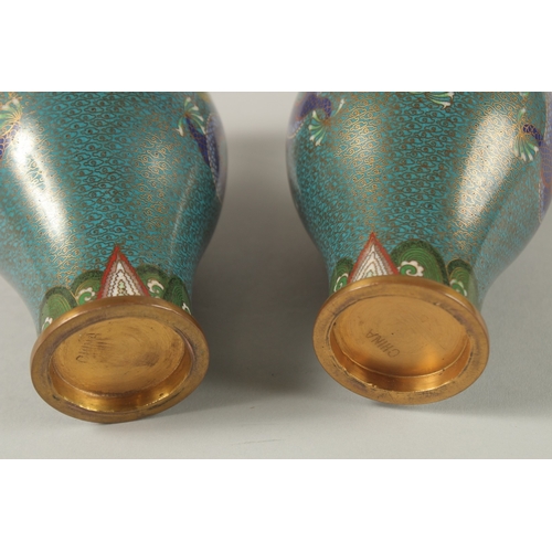 63 - A PAIR OF CHINESE TURQUOISE GROUND CLOISONNE DRAGON VASES, 16.5cm high,