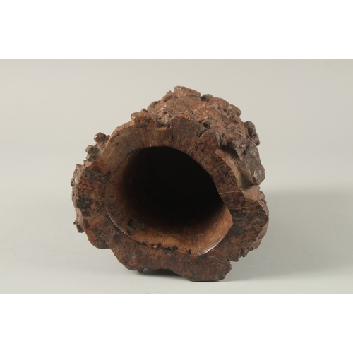 67 - A FINE AND LARGE CHINESE ROOT WOOD BITONG BRUSH POT, of naturalistic form, 19.5cm high.