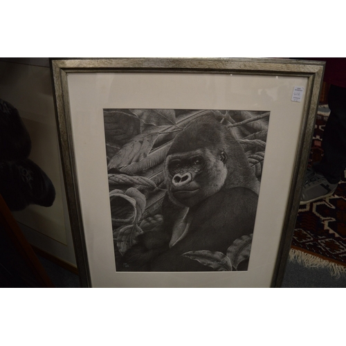 406 - Five pictures and prints relating to gorillas.