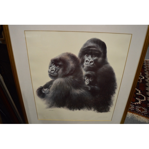 406 - Five pictures and prints relating to gorillas.