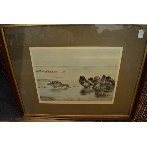 414 - Archibald Thorburn, four pencil signed colour prints depicting wood pigeons, kingfisher, pin tailed ... 