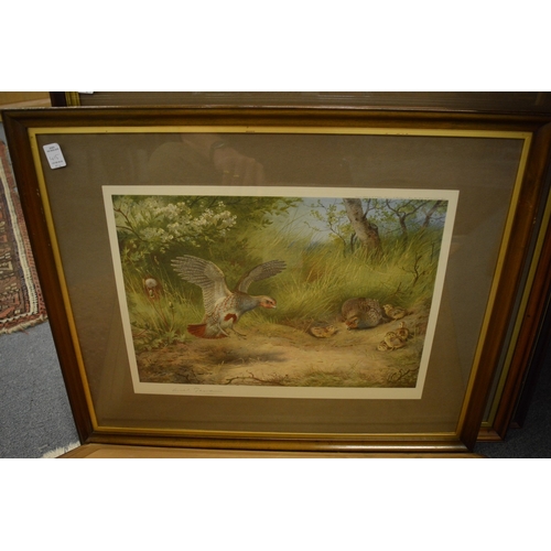 415 - Archibald Thorburn, four pencil signed colour prints depicting game birds, three with original frame... 