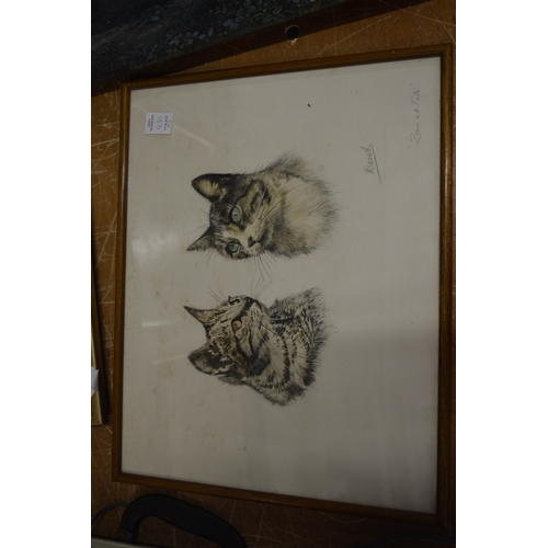 430 - An engraving depicting two Scottie dogs and two pictures of cats.