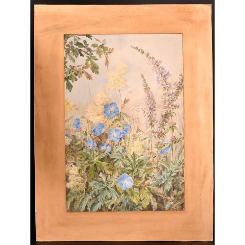 108 - English School, Circa 1900, a pair of watercolour studies of wildflowers, each 18