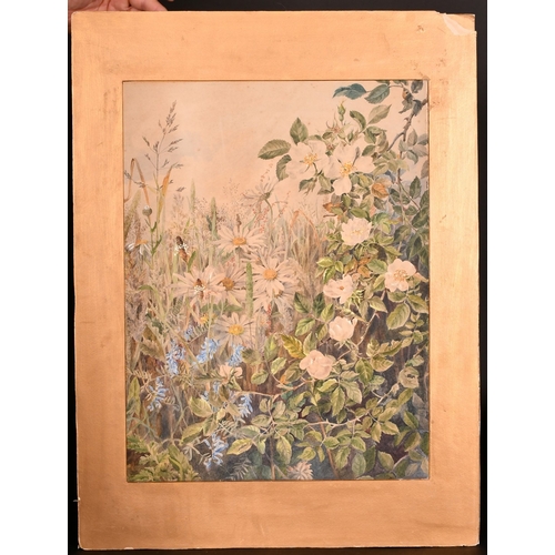 108 - English School, Circa 1900, a pair of watercolour studies of wildflowers, each 18