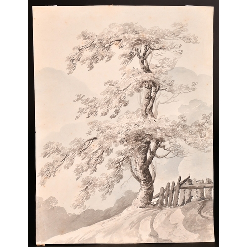 128 - 19th Century English School, a study of a tree in a landscape, watercolour and ink, 11.5