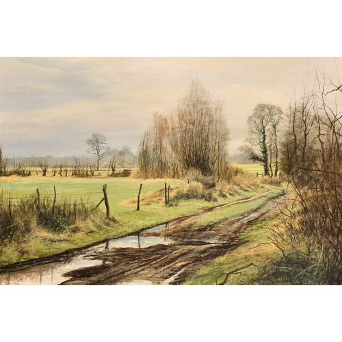 190 - Mervyn Goode, a country track with an extensive landscape beyond, oil on canvas, signed, inscribed v... 