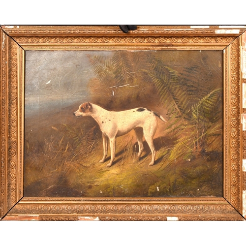 240 - Mid-19th Century English School, scene of a dog in a landscape, oil on canvas, 15