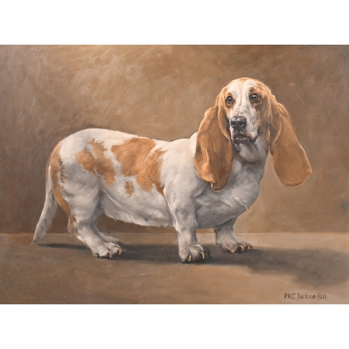 241 - Ken Jackson (1920-2006), a portrait of a long-eared Dachshund, oil on board, signed and dated 1971, ... 