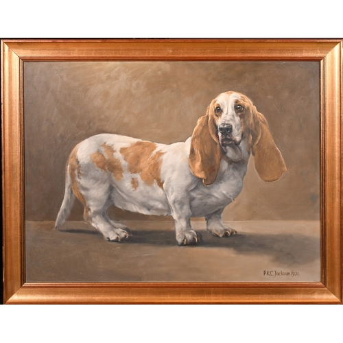 241 - Ken Jackson (1920-2006), a portrait of a long-eared Dachshund, oil on board, signed and dated 1971, ... 