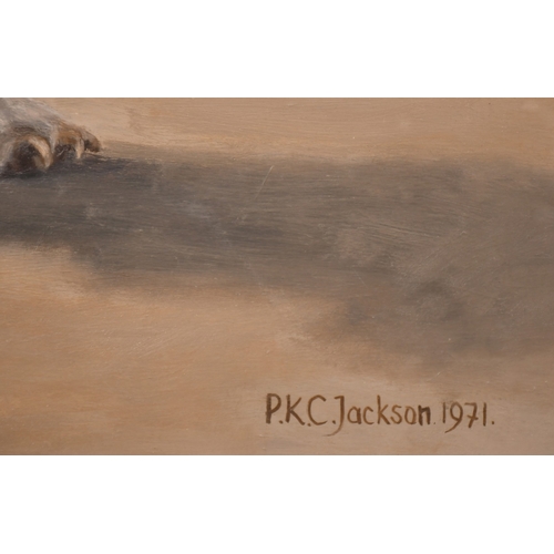 241 - Ken Jackson (1920-2006), a portrait of a long-eared Dachshund, oil on board, signed and dated 1971, ... 