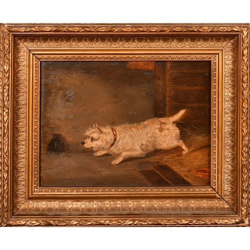 243 - Late 19th Century English School, a terrier patiently waiting, oil on canvas, 9