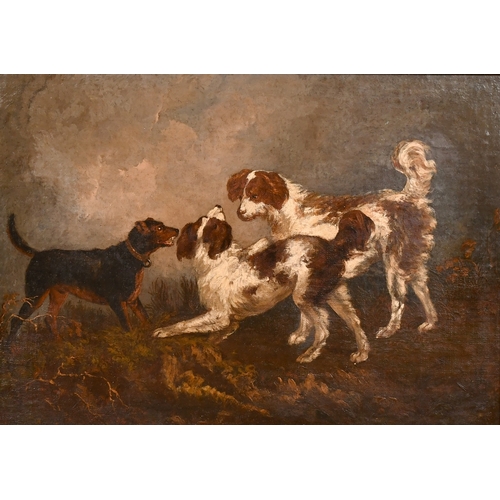 244 - 19th Century, hunting dogs in a landscape, oil on canvas, 12