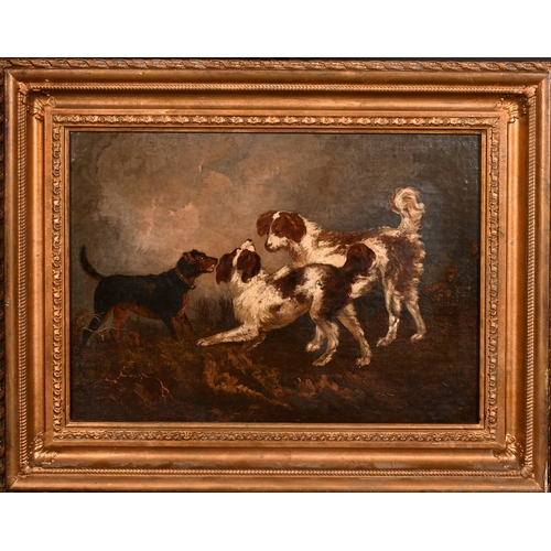 244 - 19th Century, hunting dogs in a landscape, oil on canvas, 12