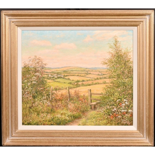 294 - Mervyn Goode, 'Stile and Patchwork Fields, Midsummer', oil on canvas, 14