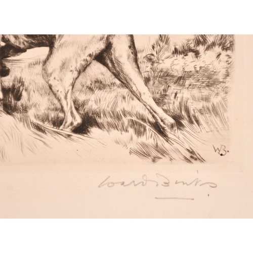 32 - Ruben Ward Binks (1880-1950), a pointer in a landscape, etching, signed in pencil, plate size 5.5