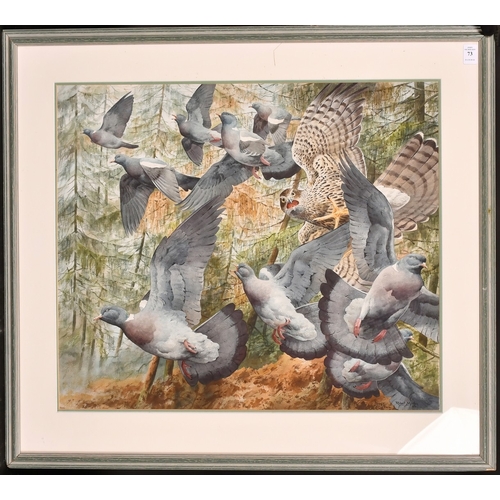 73 - Robert Morton (20th Century), a sparrowhawk disturbing wood pigeons, watercolour, signed and dated 1... 