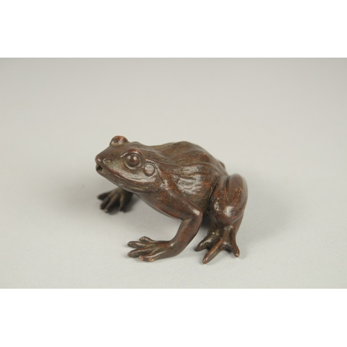 115 - A JAPANESE BRONZE FROG. 5cms.