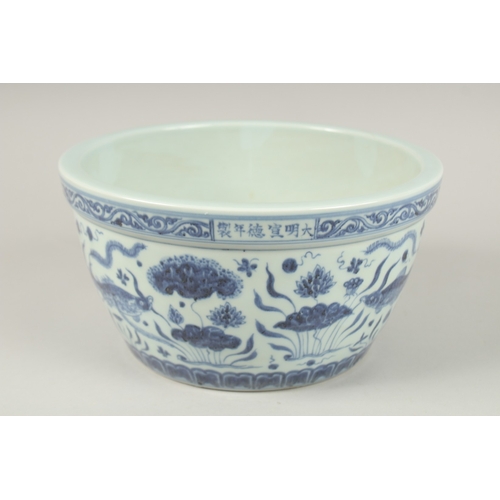 144 - A CHINESE BLUE AND WHITE PORCELAIN FISH AND ALGAE BOWL. 26.5cms diameter.