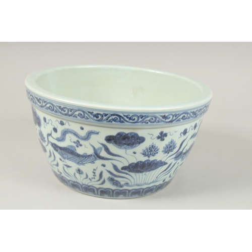 144 - A CHINESE BLUE AND WHITE PORCELAIN FISH AND ALGAE BOWL. 26.5cms diameter.