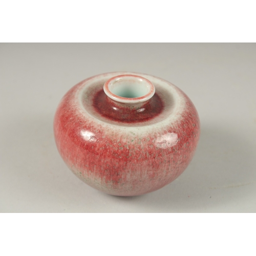 1009 - A CHINESE PEACH GLAZE PORCELAIN INK POT, character mark to base, 9cm wide.