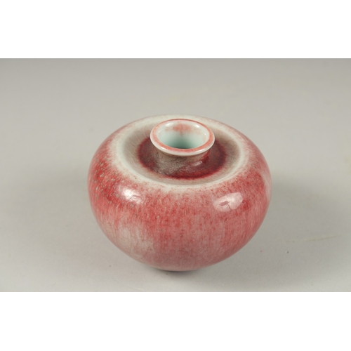 1009 - A CHINESE PEACH GLAZE PORCELAIN INK POT, character mark to base, 9cm wide.