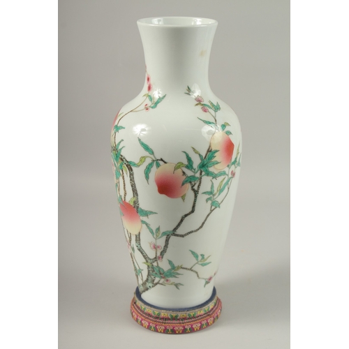 1018 - A LARGE CHINESE FAMILLE ROSE PORCELAIN PEACH VASE, with stand, vase 39.5cm high.