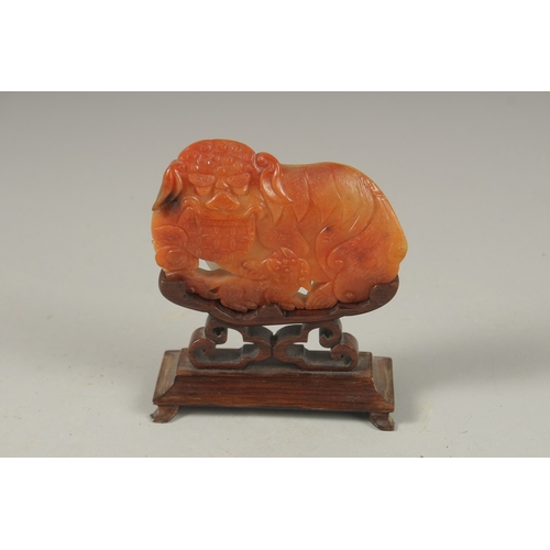 1031 - A GOOD CHINESE CARVED JADE DOG OF FO, 9cm long, 6cm wide, on a wooden stand.