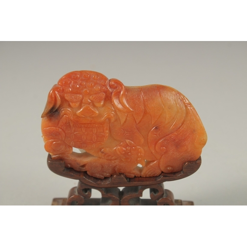 1031 - A GOOD CHINESE CARVED JADE DOG OF FO, 9cm long, 6cm wide, on a wooden stand.